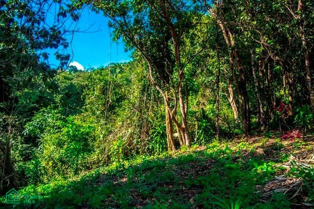 La Reserva Camaronal Lot 12 / Playa Camaronal , Zapotal, Nandayure, Guanacaste