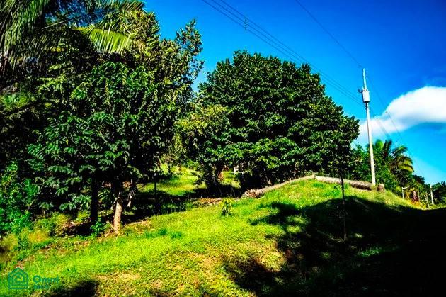 La Reserva Camaronal Lot 12 / Playa Camaronal , Zapotal, Nandayure, Guanacaste