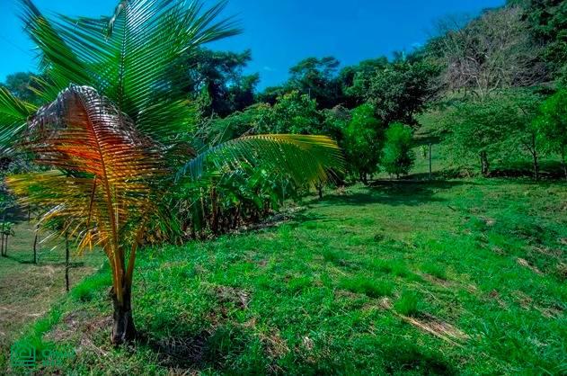 La Reserva Camaronal Lot 15 / Playa Camaronal , Zapotal, Nandayure, Guanacaste