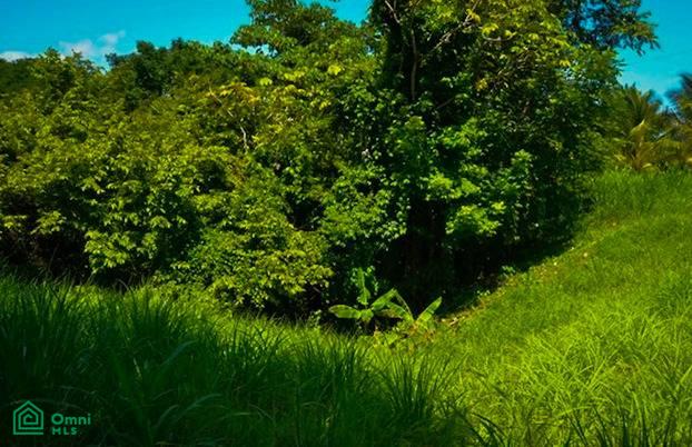 La Reserva Camaronal Lot 15 / Playa Camaronal , Zapotal, Nandayure, Guanacaste