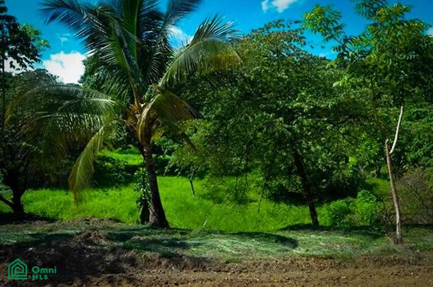 La Reserva Camaronal Lot 16 / Playa Camaronal , Zapotal, Nandayure, Guanacaste