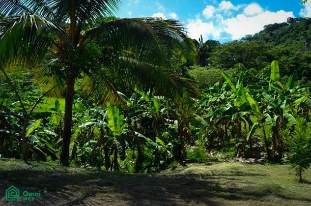 La Reserva Camaronal Lot 16 / Playa Camaronal , Zapotal, Nandayure, Guanacaste