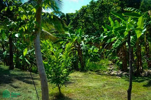 La Reserva Camaronal Lot 16 / Playa Camaronal , Zapotal, Nandayure, Guanacaste