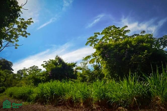 La Reserva Camaronal Lot 39 / Playa Camaronal , Zapotal, Nandayure, Guanacaste