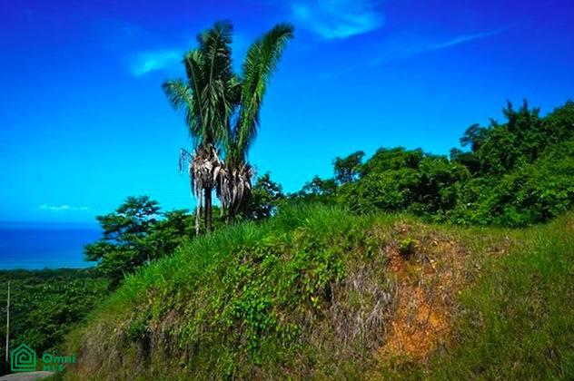 La Reserva Camaronal Lot 43 / Playa Camaronal , Zapotal, Nandayure, Guanacaste