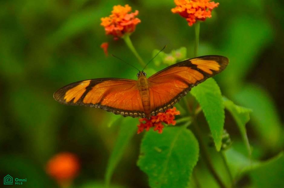 La Reserva Camaronal Lot 43 / Playa Camaronal , Zapotal, Nandayure, Guanacaste