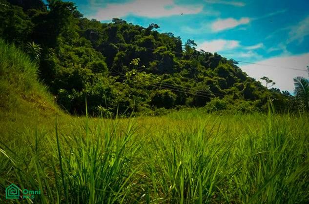 La Reserva Camaronal Lot 43 / Playa Camaronal , Zapotal, Nandayure, Guanacaste