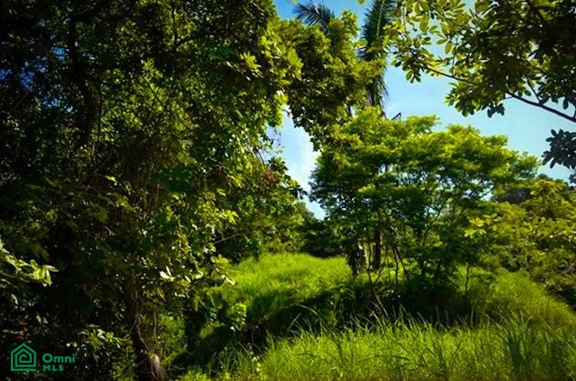 La Reserva Camaronal Lot 45 / Playa Camaronal , Zapotal, Nandayure, Guanacaste