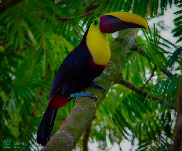 La Reserva Camaronal Lot 51 / Playa Camaronal , Zapotal, Nandayure, Guanacaste