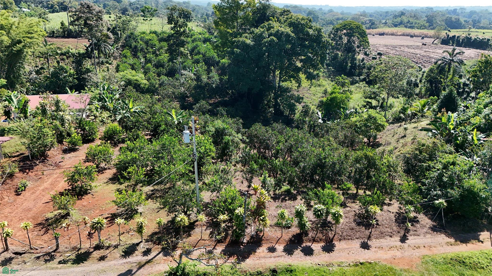 Thriving 6042m² Citrus Farm in Costa Rica , Cajón, Perez Zeledon, San Jose