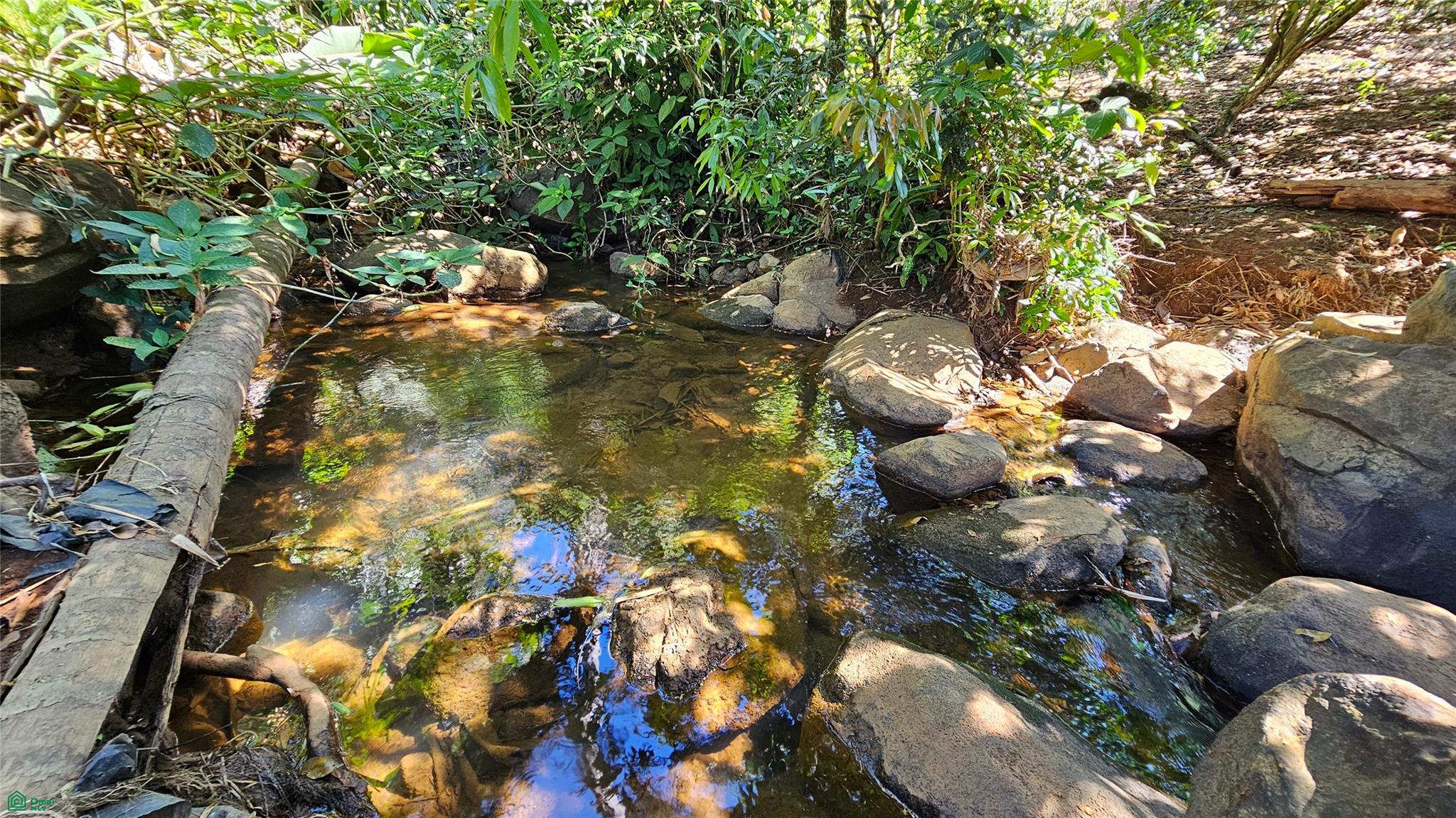 Thriving 6042m² Citrus Farm in Costa Rica , Cajón, Perez Zeledon, San Jose