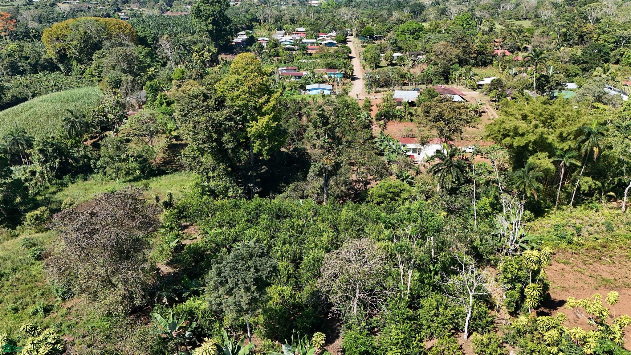 Thriving 6042m² Citrus Farm in Costa Rica , Cajón, Perez Zeledon, San Jose