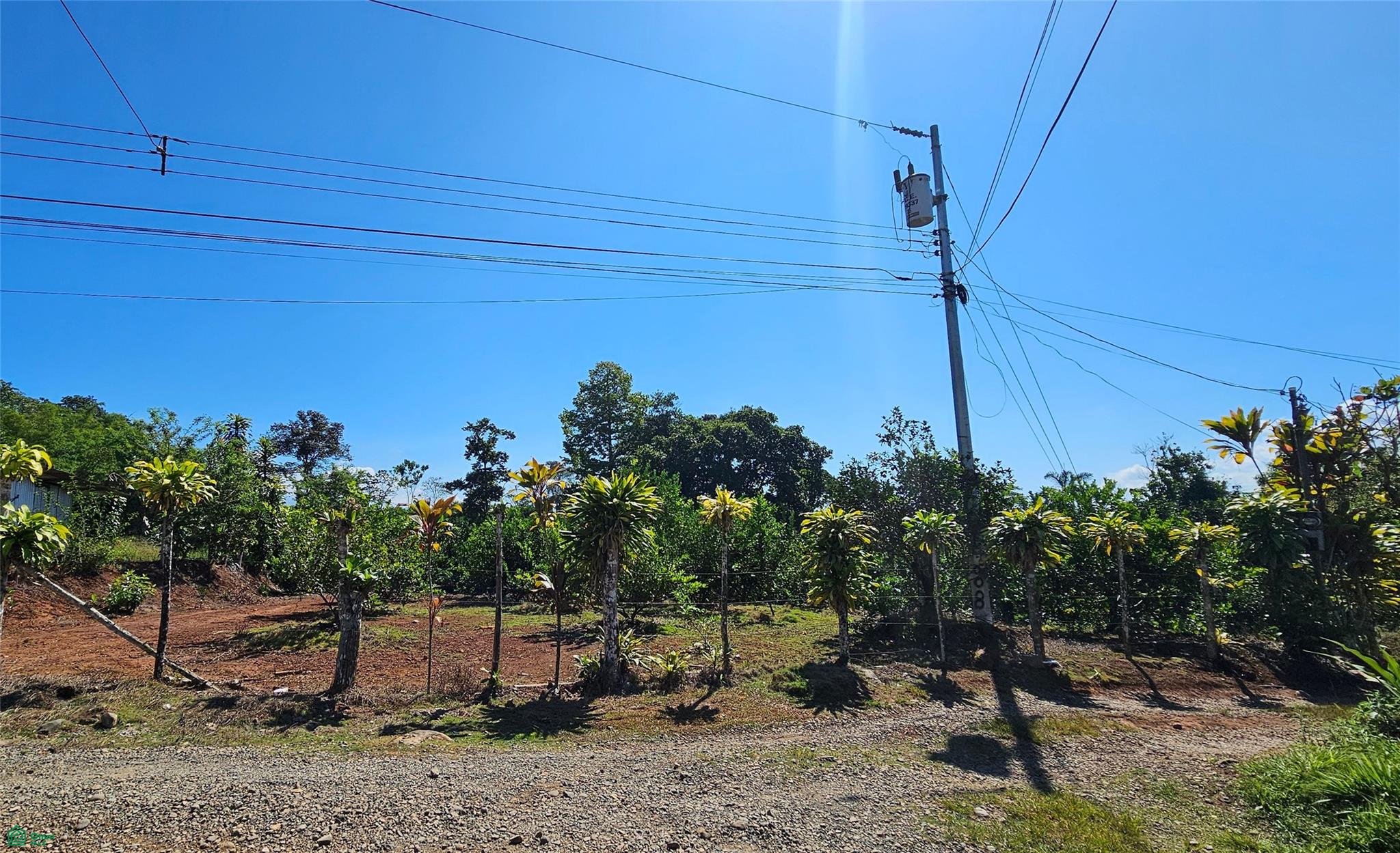Thriving 6042m² Citrus Farm in Costa Rica , Cajón, Perez Zeledon, San Jose