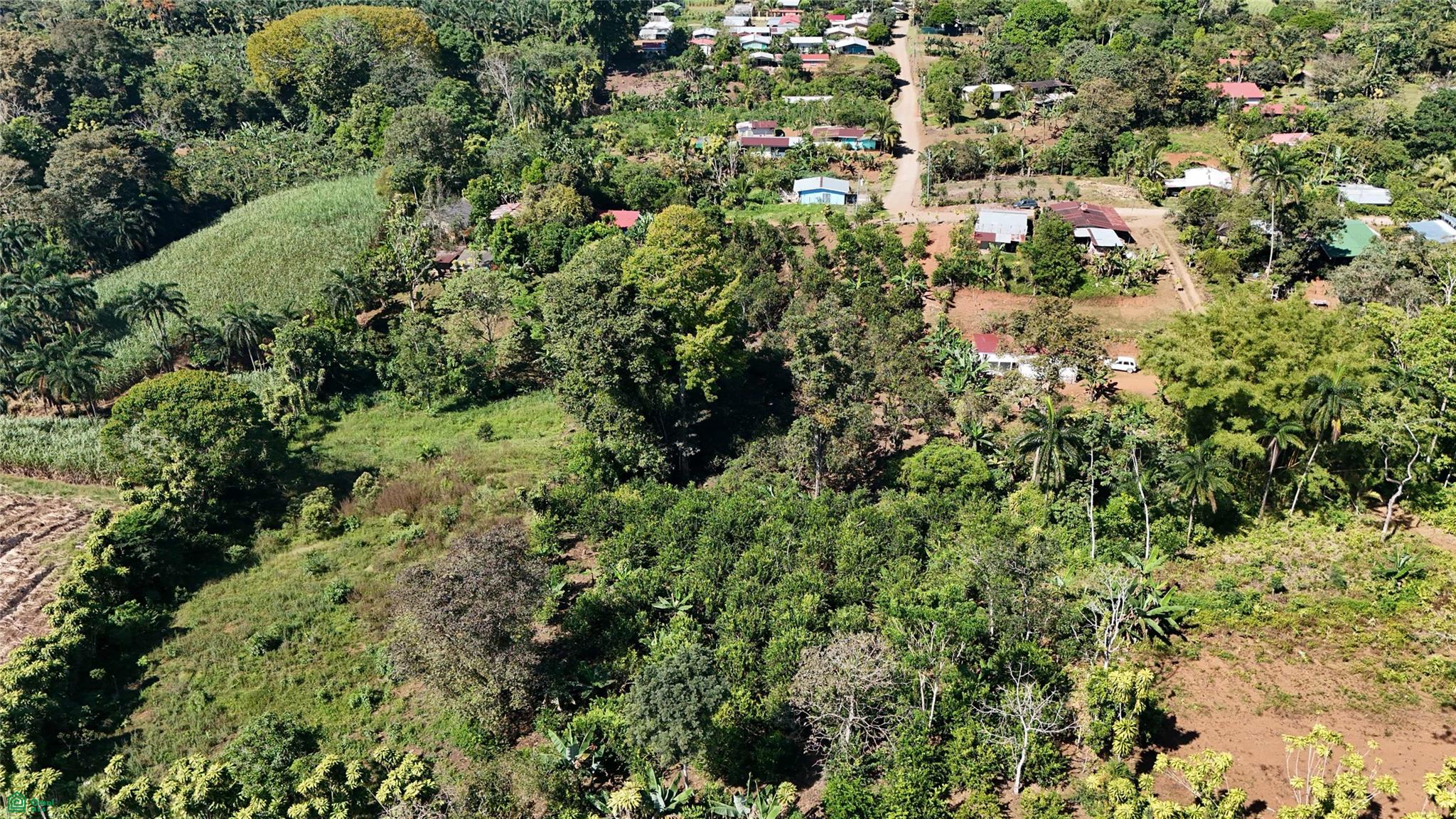 Thriving 6042m² Citrus Farm in Costa Rica , Cajón, Perez Zeledon, San Jose