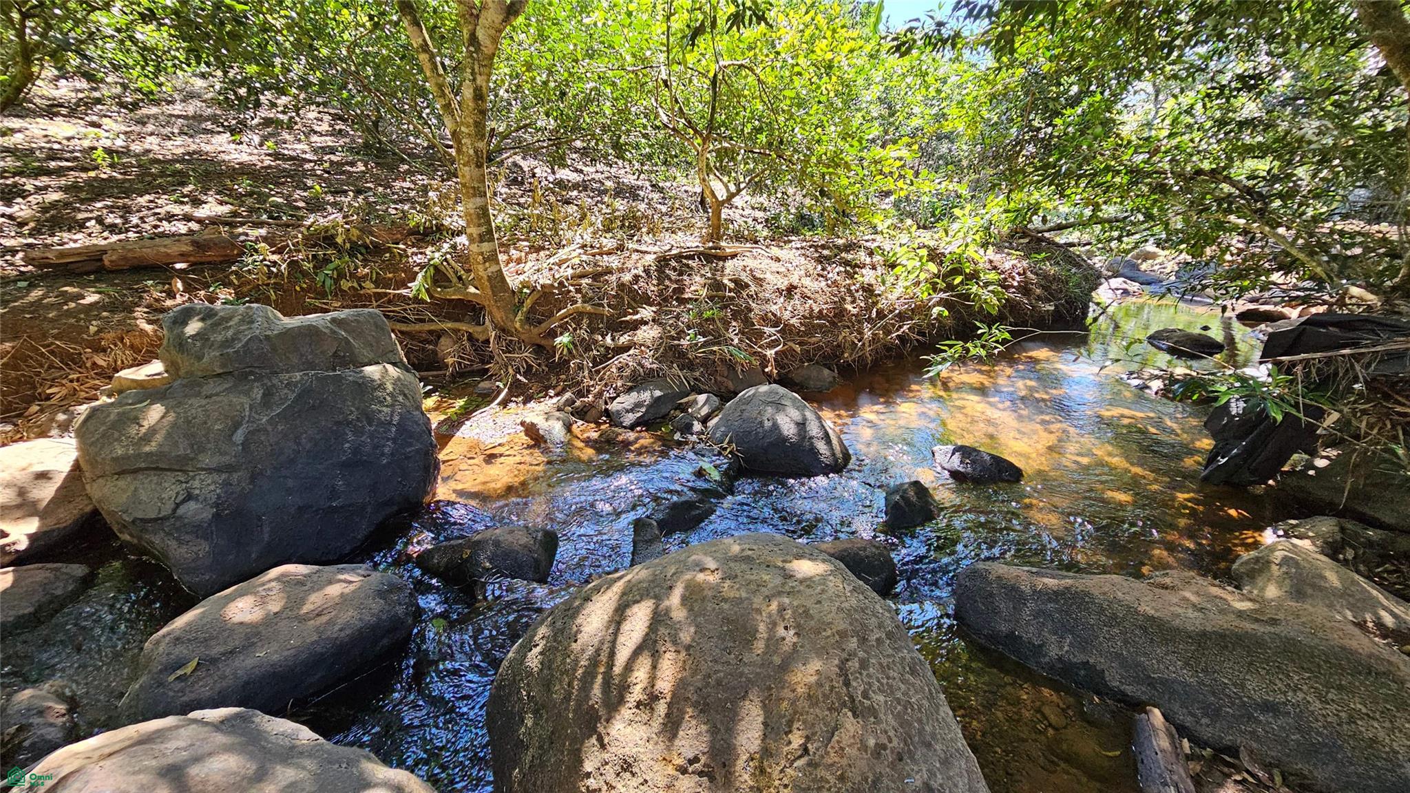 Thriving 6042m² Citrus Farm in Costa Rica , Cajón, Perez Zeledon, San Jose