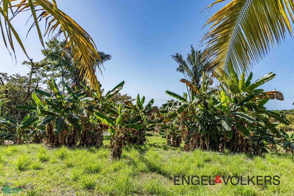 La Reserva Camaronal Lot 110 / Camaronal , Puerto Carrillo, Guanacaste