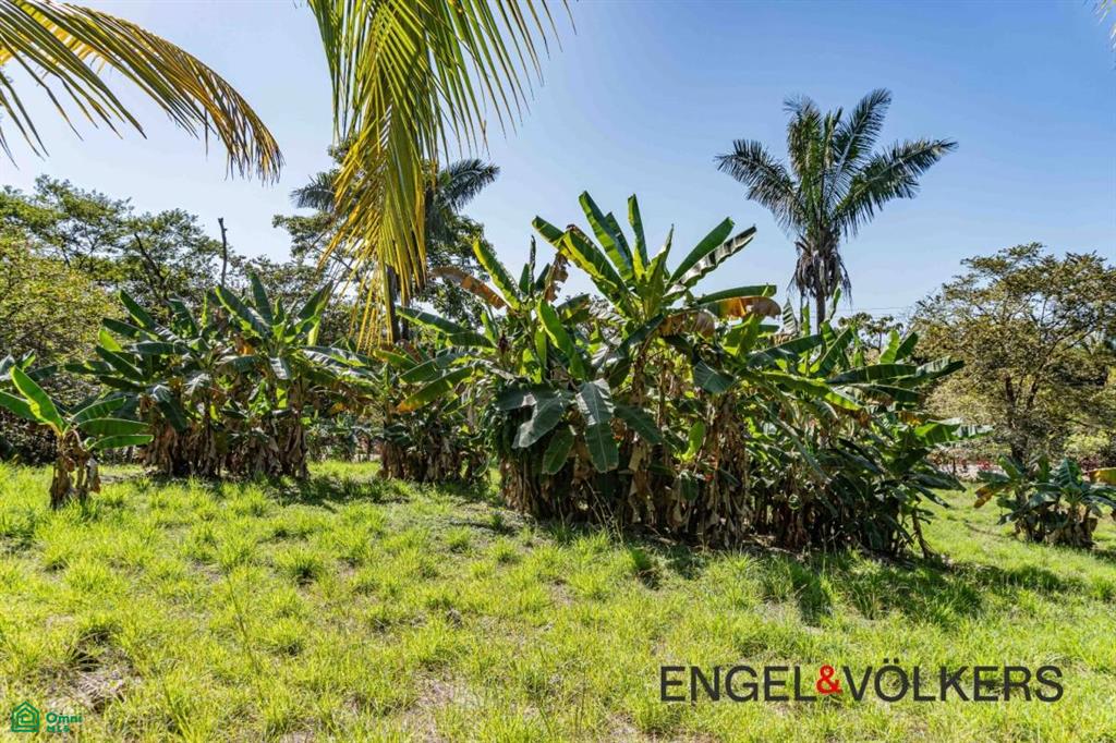 La Reserva Camaronal Lot 110 / Camaronal , Puerto Carrillo, Guanacaste