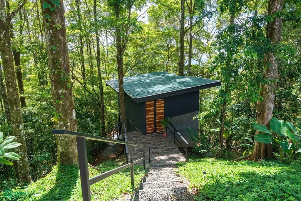 Welcome to La Sombra – A Luxurious Jungle Retreat in Platanillo, Costa Rica , Barú, Pérez , Barú, Perez Zeledon, San Jose