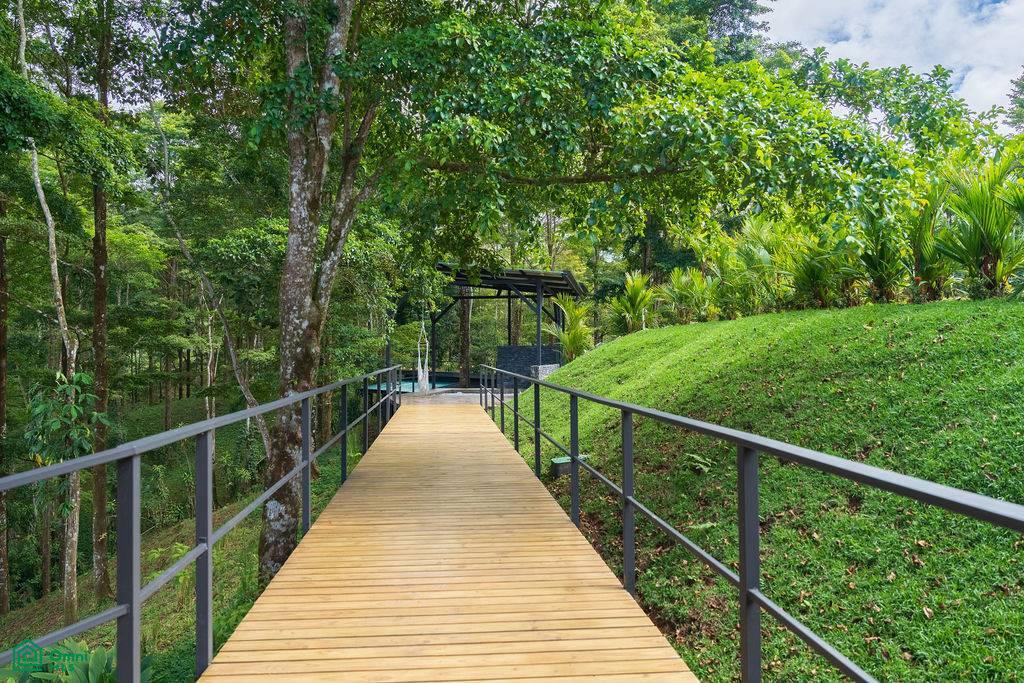 Welcome to La Sombra – A Luxurious Jungle Retreat in Platanillo, Costa Rica , Barú, Pérez , Barú, Perez Zeledon, San Jose
