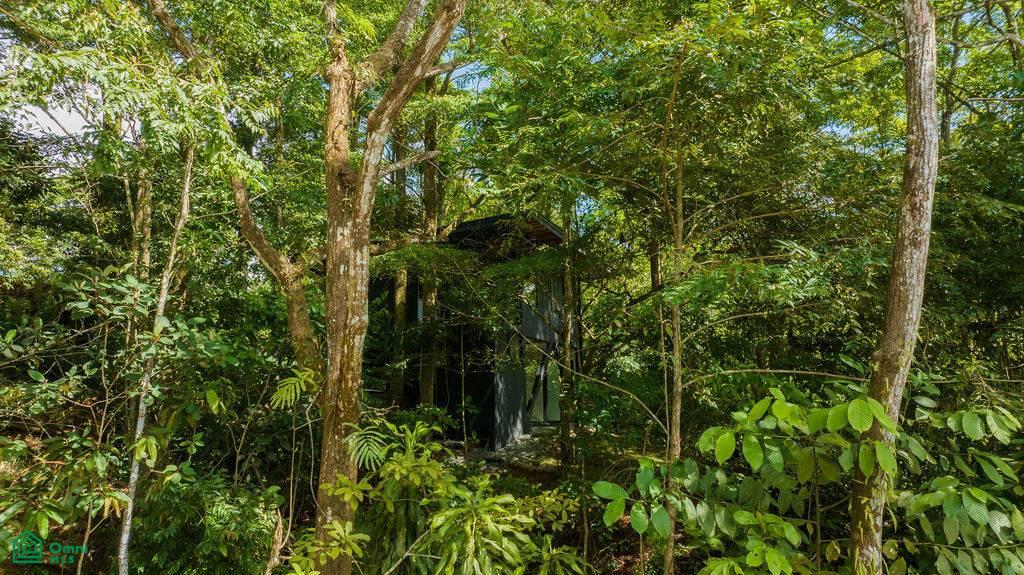 Welcome to La Sombra – A Luxurious Jungle Retreat in Platanillo, Costa Rica , Barú, Pérez , Barú, Perez Zeledon, San Jose
