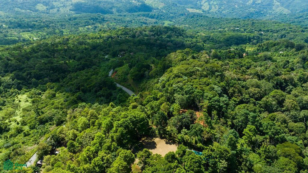 Welcome to La Sombra – A Luxurious Jungle Retreat in Platanillo, Costa Rica , Barú, Pérez , Barú, Perez Zeledon, San Jose