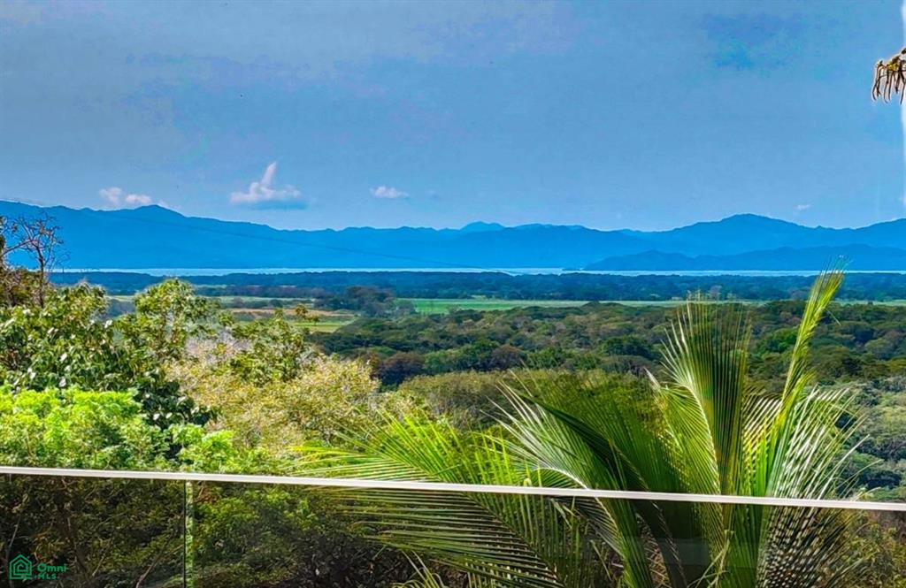 Villa Olympe , Pitahaya