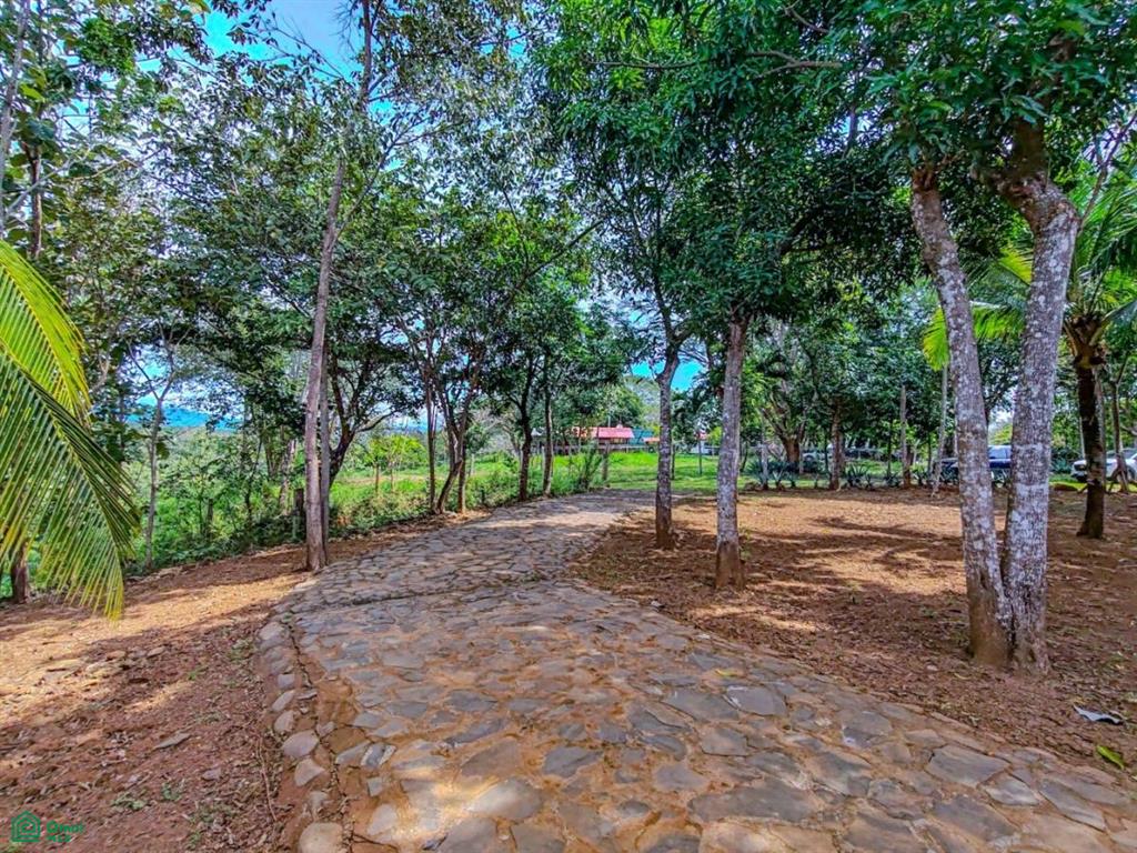 Villa Olympe , Pitahaya