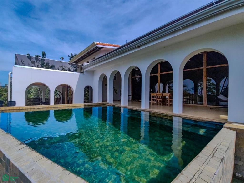 Villa Olympe , Pitahaya