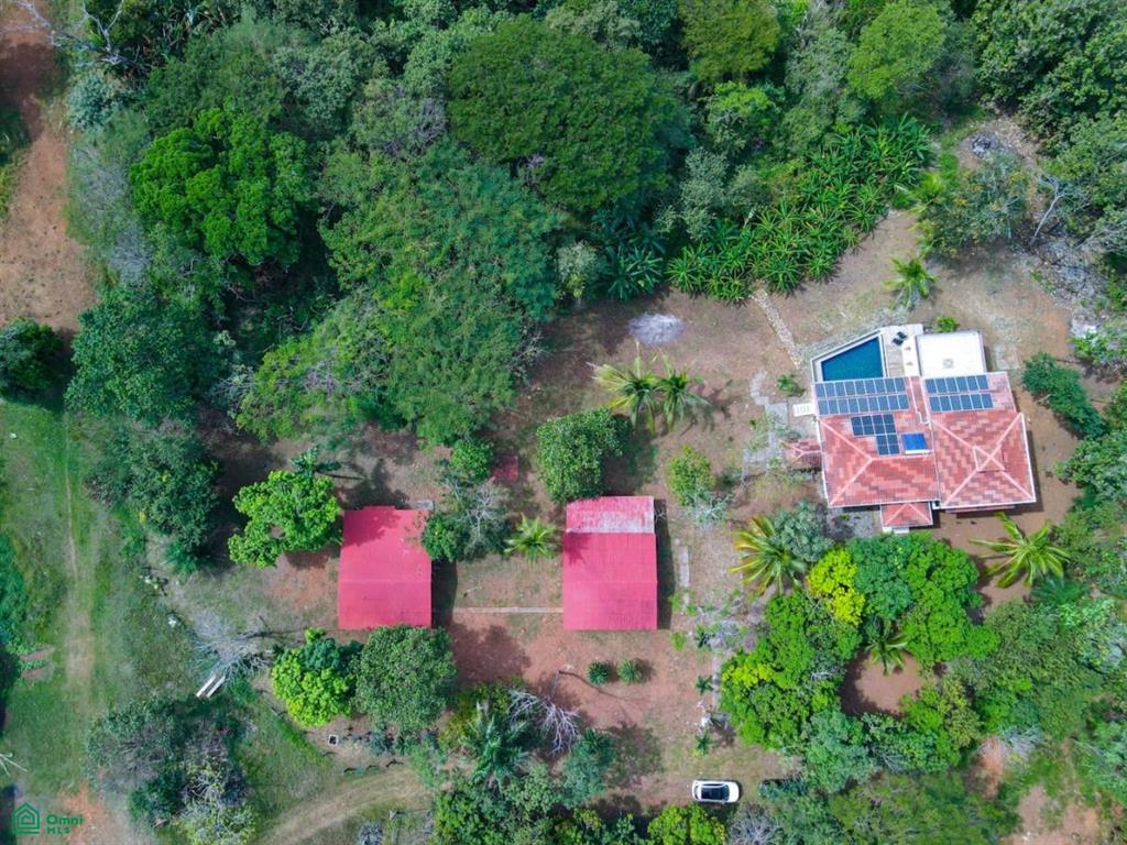 Villa Olympe , Pitahaya