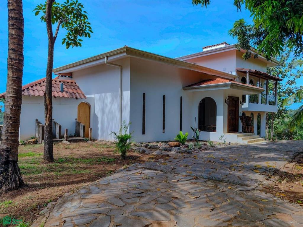 Villa Olympe , Pitahaya