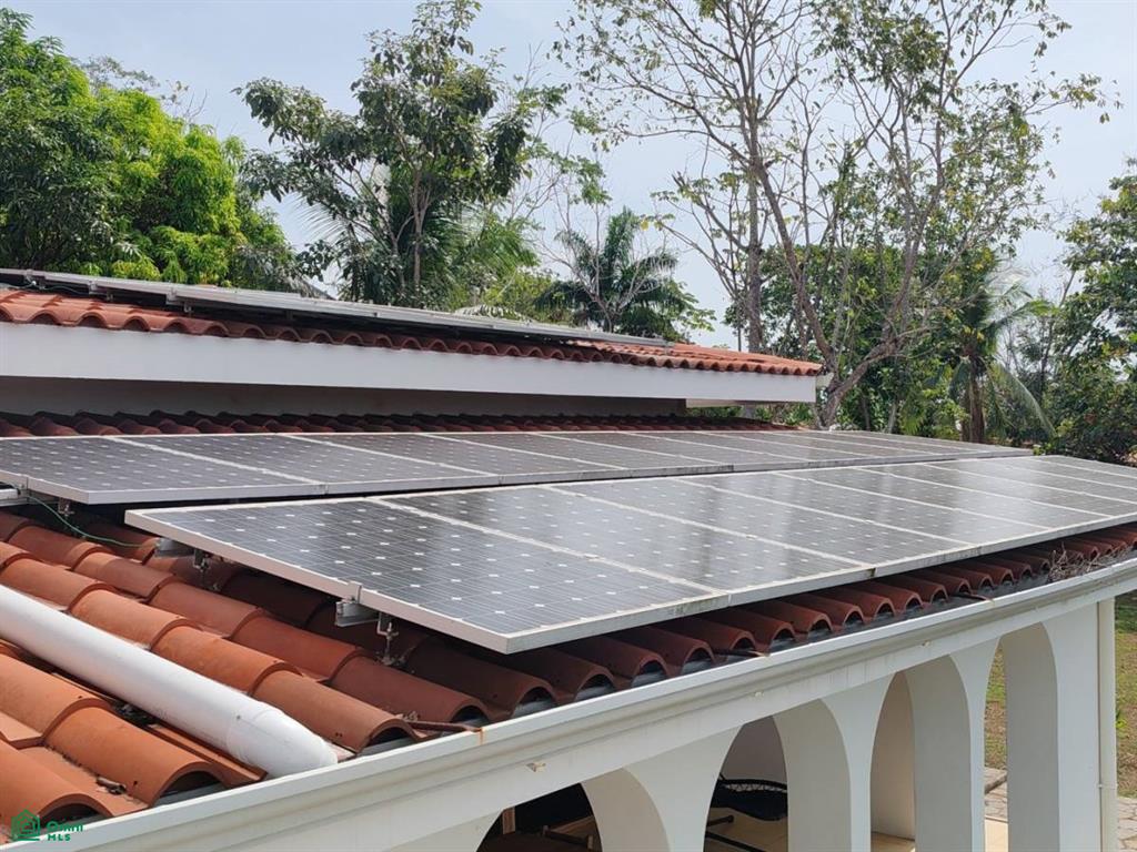 Villa Olympe , Pitahaya