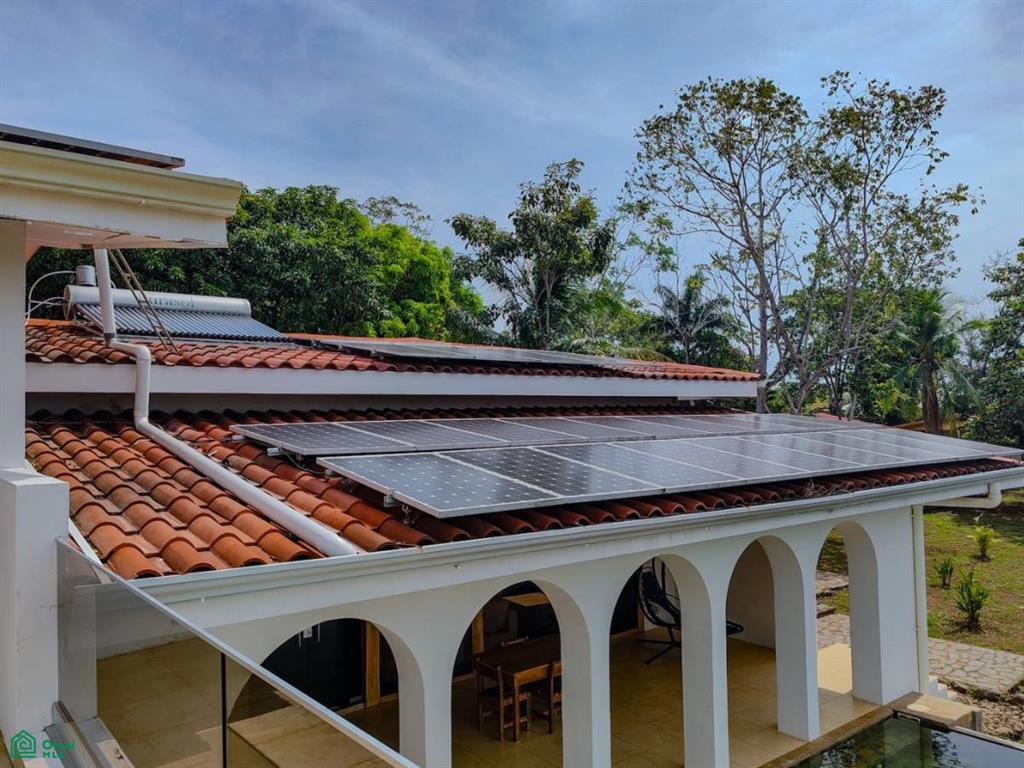 Villa Olympe , Pitahaya