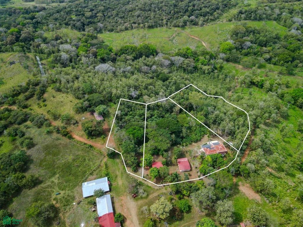 Villa Olympe , Pitahaya