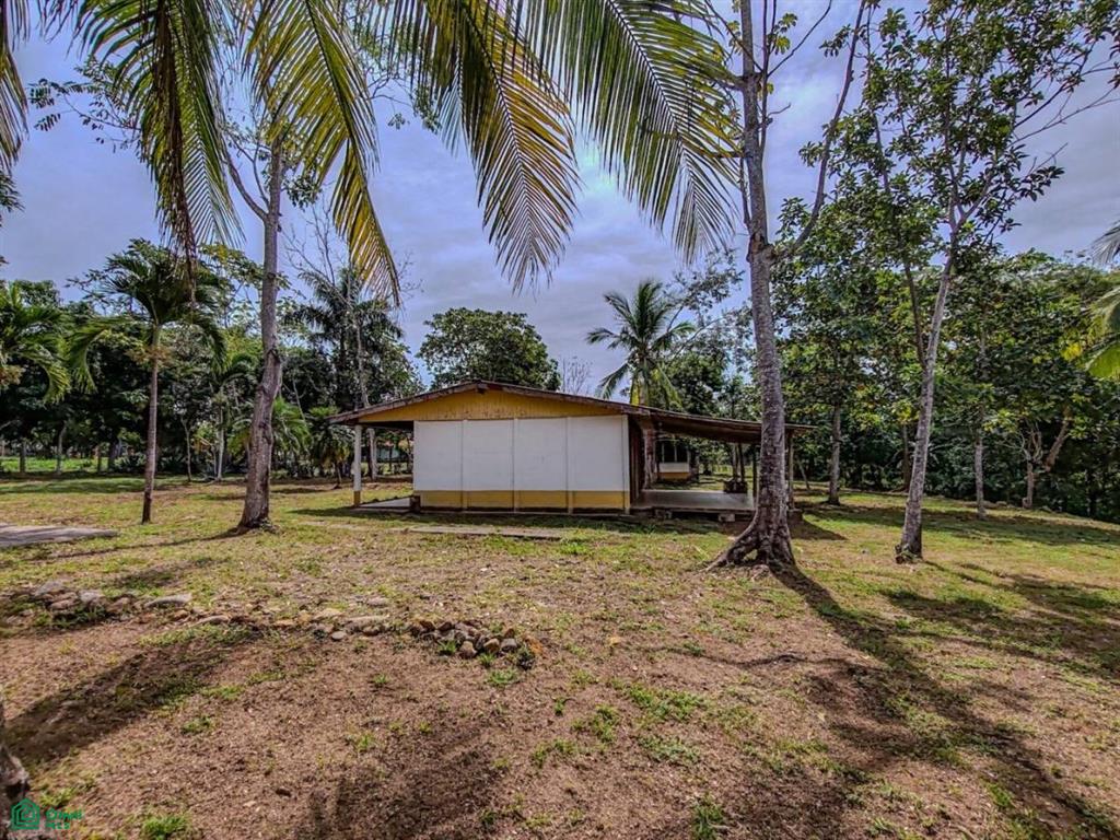 Villa Olympe , Pitahaya