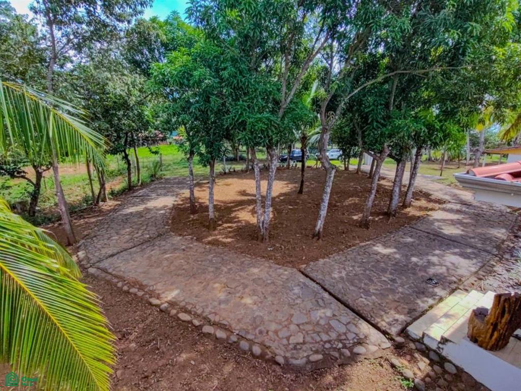 Villa Olympe , Pitahaya