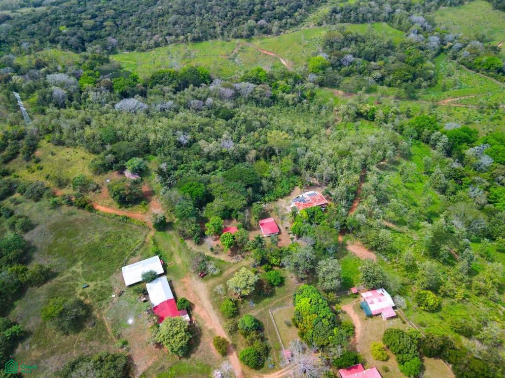 Villa Olympe , Pitahaya