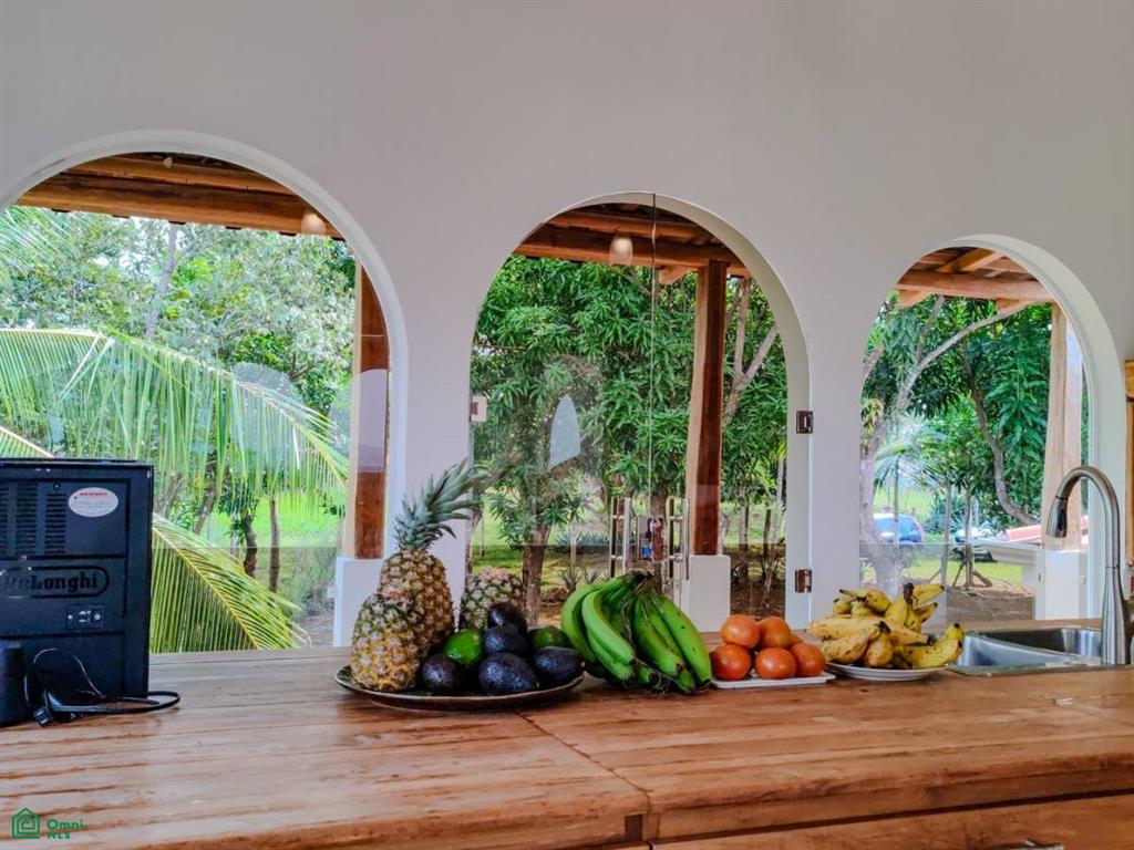 Villa Olympe , Pitahaya