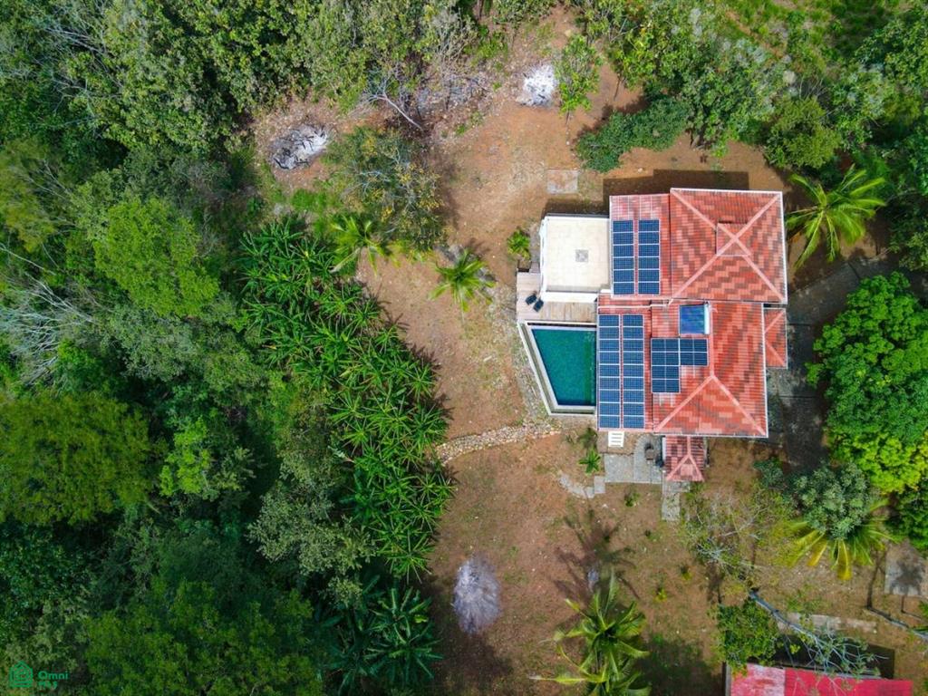 Villa Olympe , Pitahaya