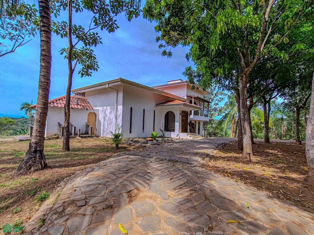 Villa Olympe , Pitahaya
