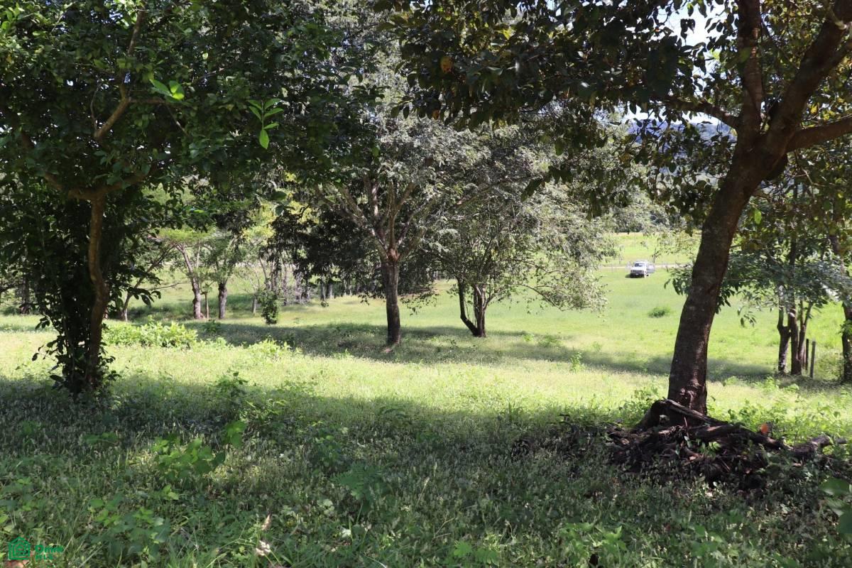 Bejuco Hill Lot/ Guanacaste , Bejuco, Nandayure