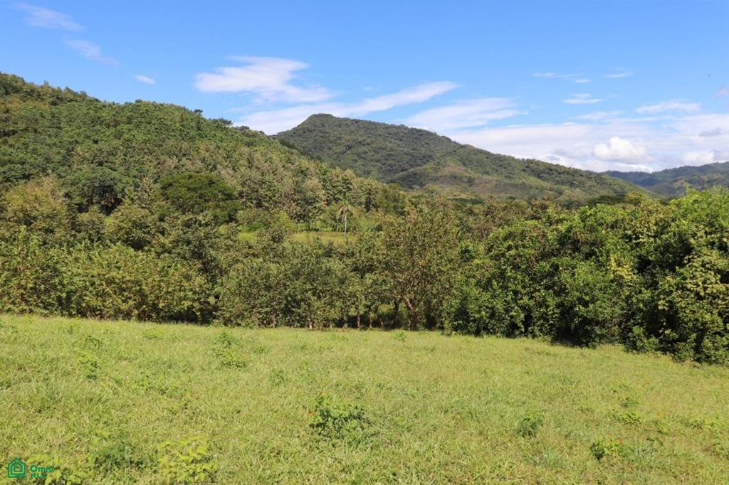 Bejuco Hill Lot/ Guanacaste , Bejuco, Nandayure