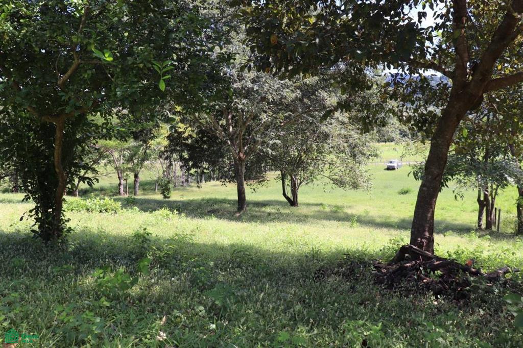 Bejuco Hill Lot/ Guanacaste , Bejuco, Nandayure