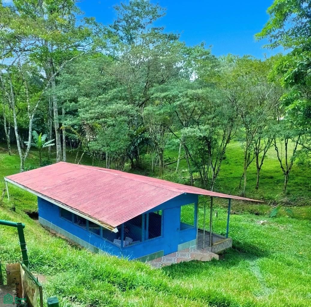 Casa Valle Azul , Agua Buena, Coto Brus, Puntarenas