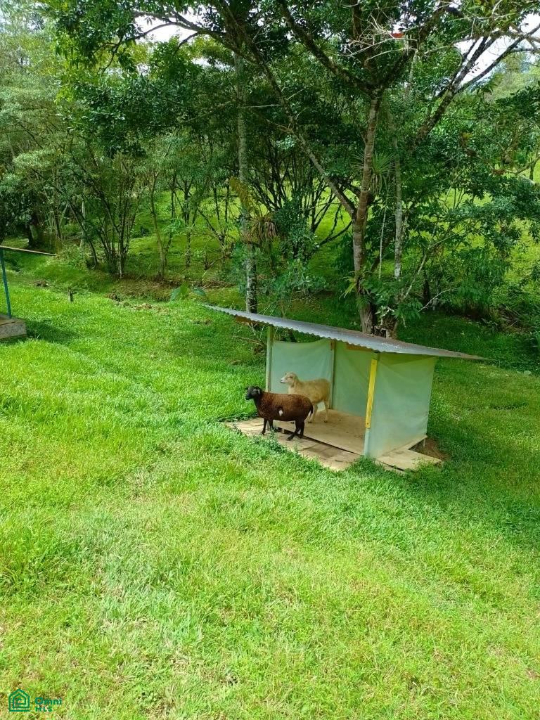 Casa Valle Azul , Agua Buena, Coto Brus, Puntarenas