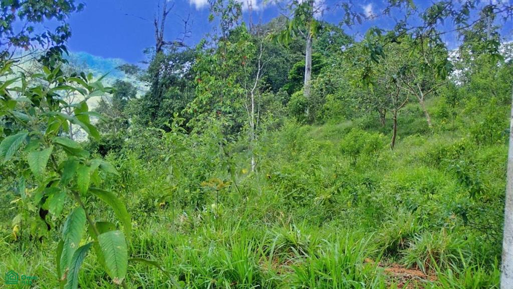 Expansive 517-Acre Paradise in Tierras Morenas, Costa Rica , Barú, Perez Zeledon, San Jose