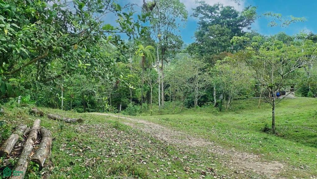 Expansive 517-Acre Paradise in Tierras Morenas, Costa Rica , Barú, Perez Zeledon, San Jose