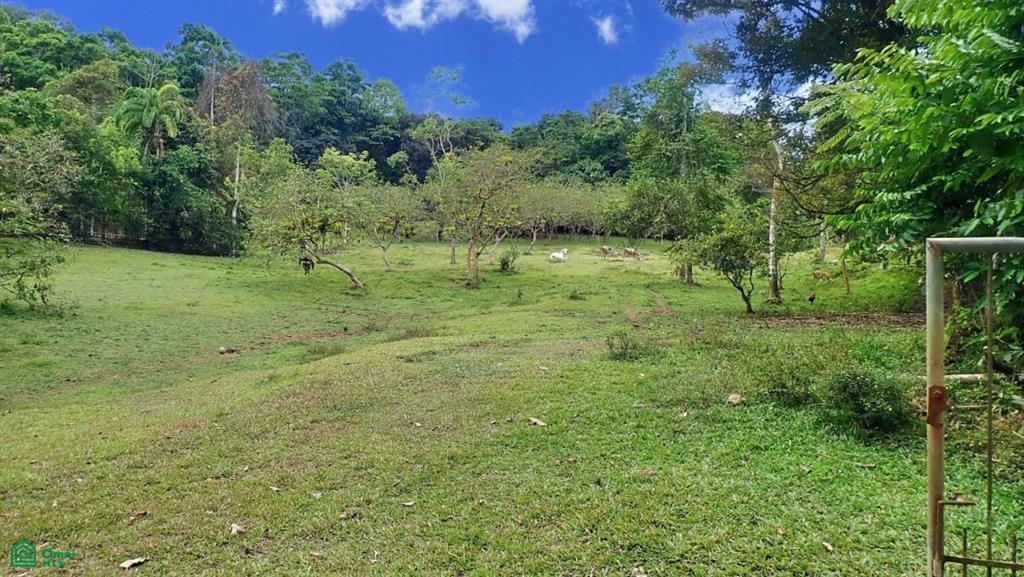 Expansive 517-Acre Paradise in Tierras Morenas, Costa Rica , Barú, Perez Zeledon, San Jose