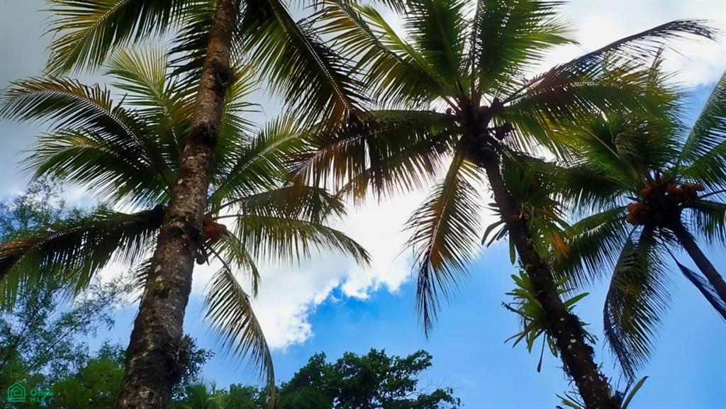 Expansive 517-Acre Paradise in Tierras Morenas, Costa Rica , Barú, Perez Zeledon, San Jose