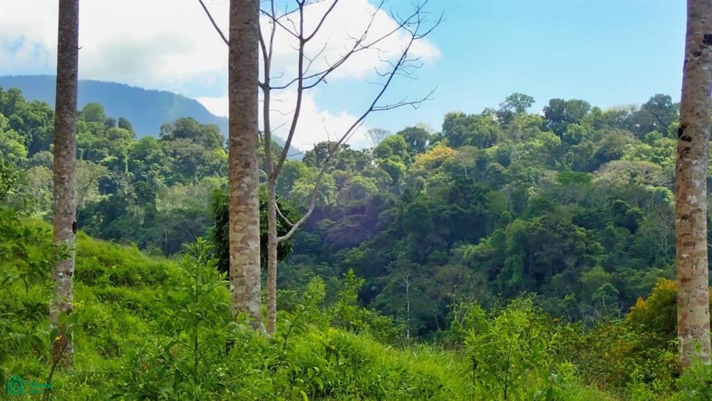 Expansive 517-Acre Paradise in Tierras Morenas, Costa Rica , Barú, Perez Zeledon, San Jose