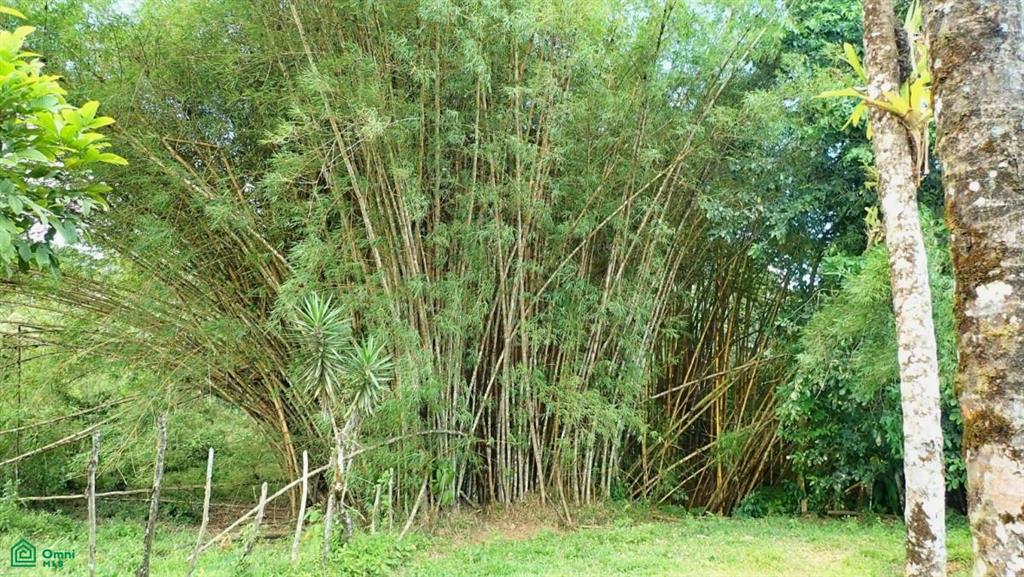 Expansive 517-Acre Paradise in Tierras Morenas, Costa Rica , Barú, Perez Zeledon, San Jose
